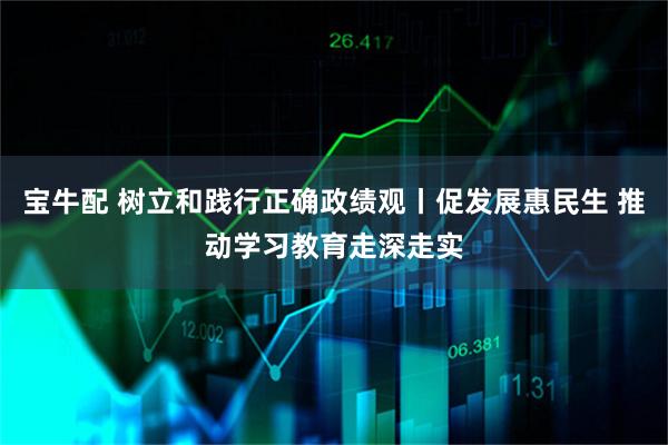 宝牛配 树立和践行正确政绩观丨促发展惠民生 推动学习教育走深走实