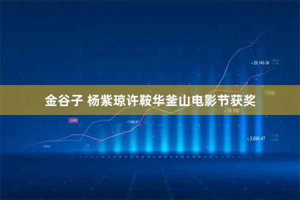 金谷子 杨紫琼许鞍华釜山电影节获奖